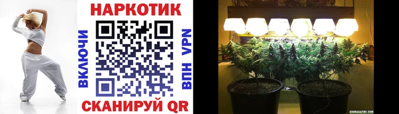 Какие есть наркотики Нарьян-Мар А ПВП  Вейп ТГК  Меф  KRAKEN ССЫЛКА  Конопля  ГАШ 