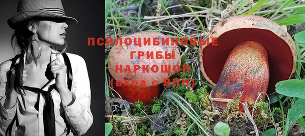 молекула духа Алексин