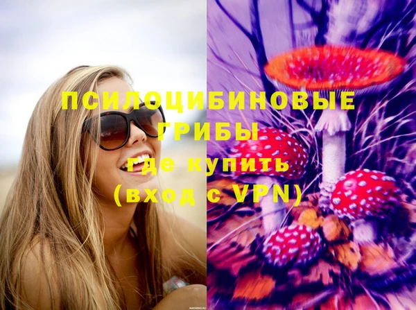 соль ск Алзамай