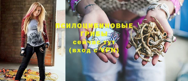 стафф Дмитриев